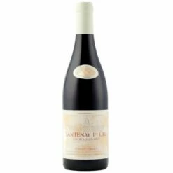 Santenay 1er Cru Les Beauregards, P & L Borgeot 2020
