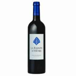 La Raison D'Hêtre, Castillon - Côtes De Bordeaux 2020 - Magnum (organic)