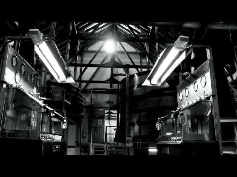 Port Charlotte 10 Year Old, Heavily Peated, Islay Single Malt Whisky, 50% Vol 5 Port Charlotte 10 Year Old, Heavily Peated, Islay Single Malt Whisky, 50% Vol - Image 3